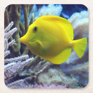 Yellow Saltwater Tang Fish Square Paper Coaster