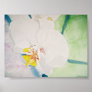yellow speckeled orchid poster