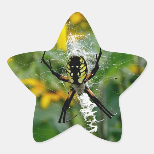 Yellow Spider Star Sticker (Front)