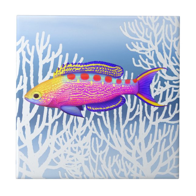 Yellow Spotted Anthias Reef Fish tile (Front)