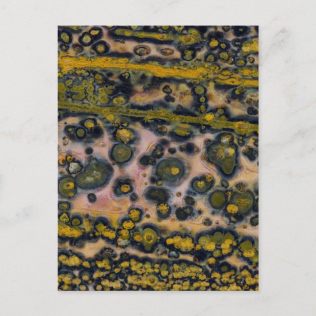 Yellow spotted Ocean Jasper Postcard (Front)