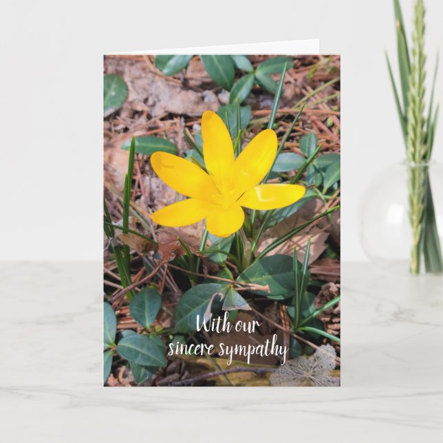Yellow Spring Crocus Sympathy Card (Front)