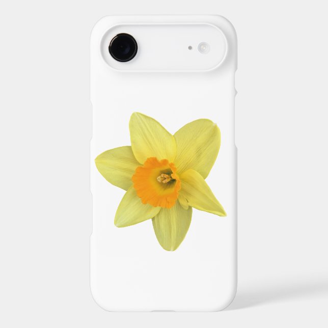 Yellow Spring Daffodil (Back)