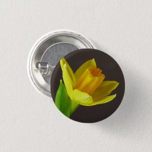 Yellow Spring Daffodil Flower Closeup 1 Inch Round Button