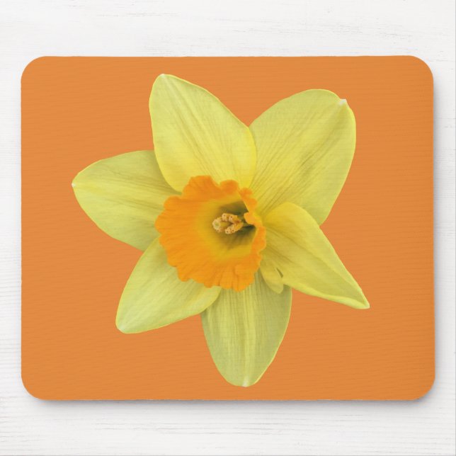 Yellow Spring Daffodil Mouse Pad (Front)