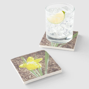 Yellow Spring Daffodil  Stone Coaster