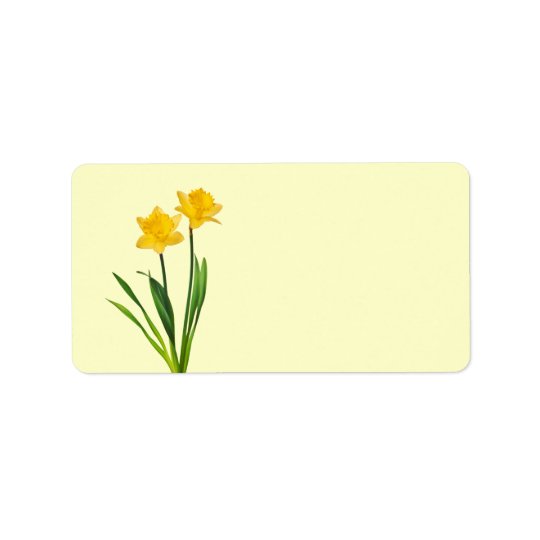 Yellow Spring Daffodils - Daffodil Template