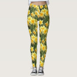 Yellow Spring Daffodils Leggings<br><div class="desc">These chic leggings feature a lovely photo of yellow spring daffodils in full bloom. Perfect addition to your spring wardrobe! Designed by world renowned artist ©Tim Coffey.</div>
