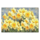 Yellow Spring Daffodils Rustic