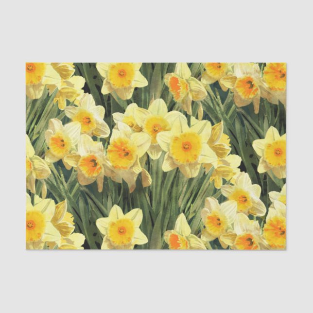 Yellow Spring Daffodils Tissue Paper (Front)