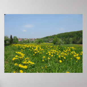 Yellow spring flowers in a green meadow  poster