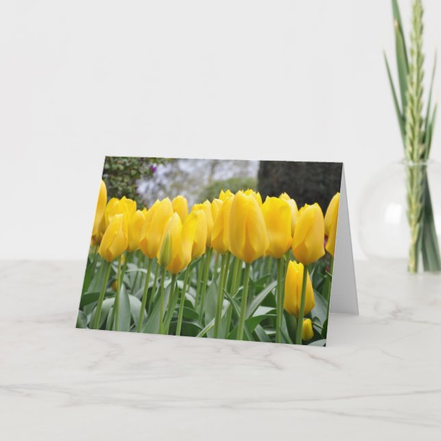 Yellow spring tulips card (Front)
