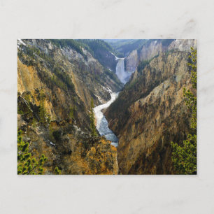 Yellow Stone Park Postcard