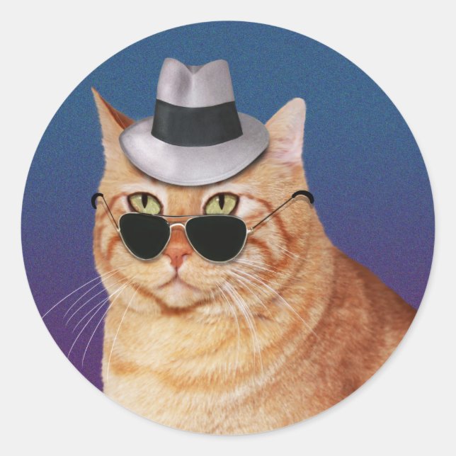 Yellow Striped Cat with Sunglasses and Hat Classic Round Sticker (Front)