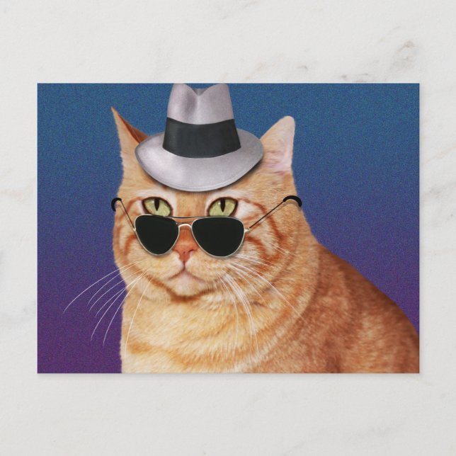 Yellow Striped Cat with Sunglasses and Hat Postcard (Front)