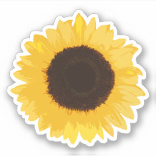 Yellow Sunflower