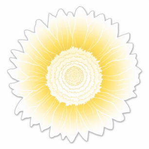 yellow sunflower