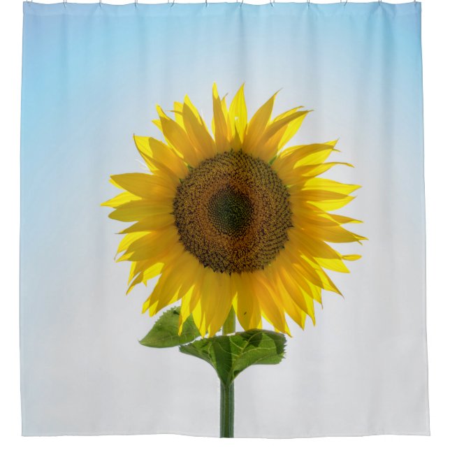 Yellow sunflower (Front)