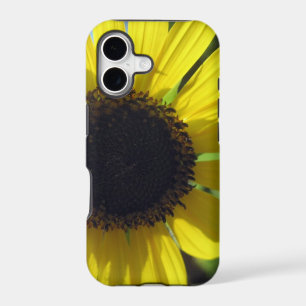 Yellow Sunflower