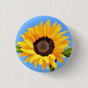 Yellow Sunflower Against Sun on Blue Sky - Summer  1 Inch Round Button