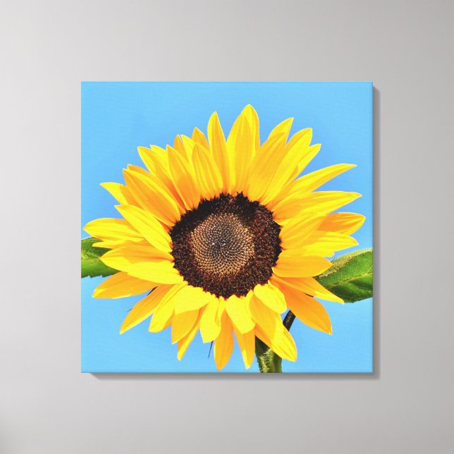 Yellow Sunflower Against Sun on Blue Sky - Summer  Canvas Print (Front)