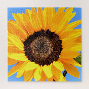 Yellow Sunflower Against Sun on Blue Sky - Summer Jigsaw Puzzle