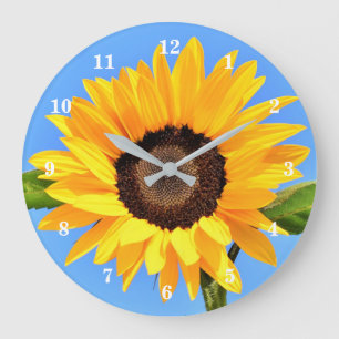 Yellow Sunflower Against Sun on Blue Sky - Summer  Large Clock