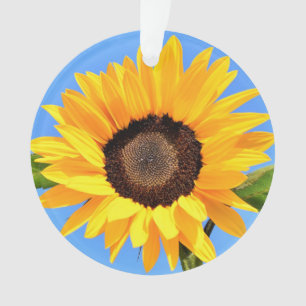 Yellow Sunflower Against Sun on Blue Sky - Summer Ornament