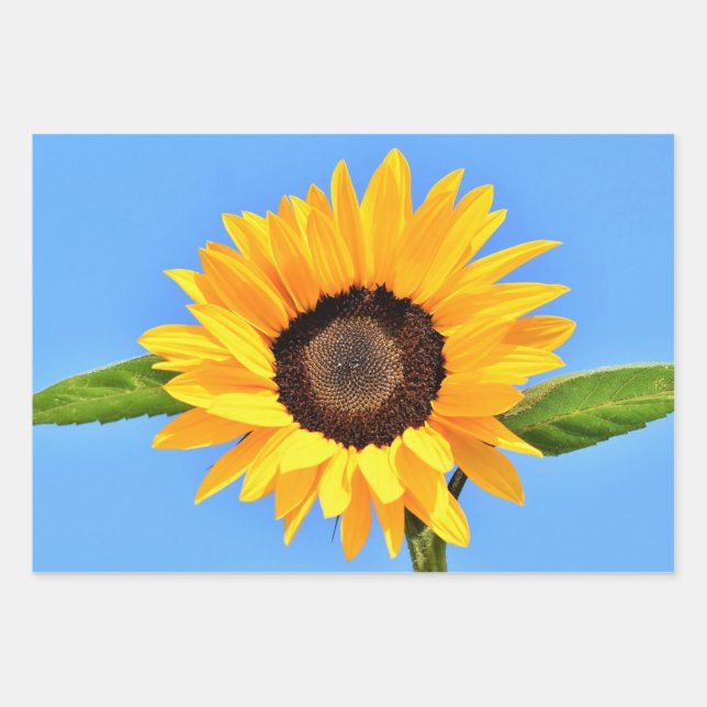 Yellow Sunflower Against Sun on Blue Sky - Summer  Wrapping Paper Sheet (Front)