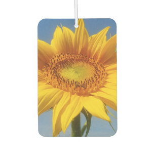 Yellow Sunflower Air Freshener