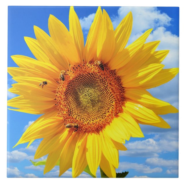Yellow Sunflower and Bees Ceramic Tile (Front)