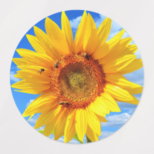 Yellow Sunflower and Bees on Blue Sky Labels