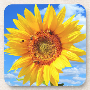 Yellow Sunflower and Bees on Blue Sky - Summer Coaster