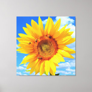 Yellow Sunflower and Bees on Blue Sky - Summer Day Canvas Print