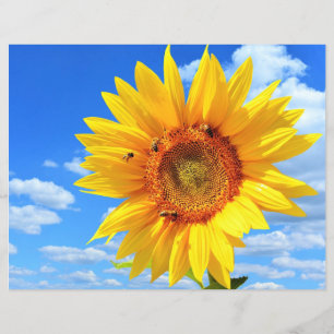Yellow Sunflower and Bees on Blue Sky - Summer Day Flyer