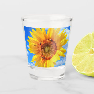 Yellow Sunflower and Bees on Blue Sky - Summer Day Shot Glass