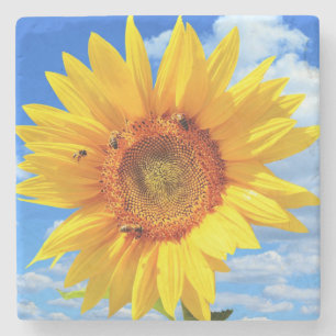 Yellow Sunflower and Bees Stone Coaster Blue Sky