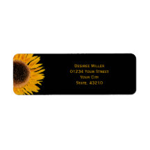 Yellow Sunflower Black Background Country Rustic
