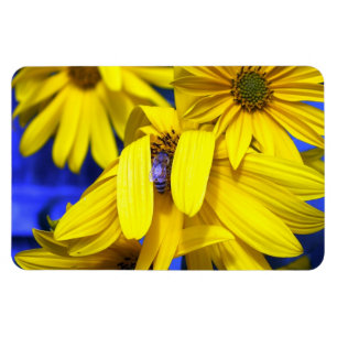 Yellow Sunflower Blue Bee Magnet