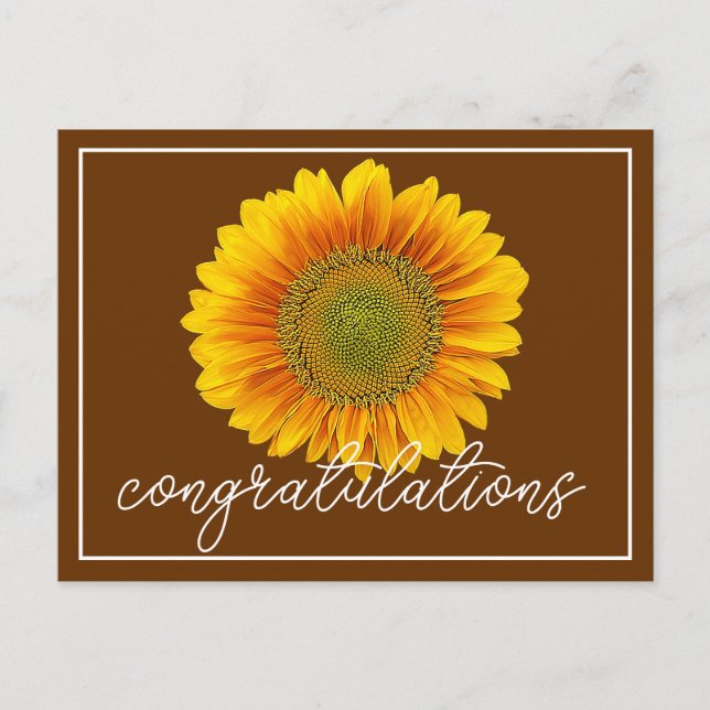 Yellow Sunflower Brown Background Congratulations Postcard (Front)