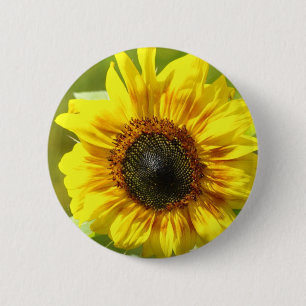 Yellow Sunflower Button