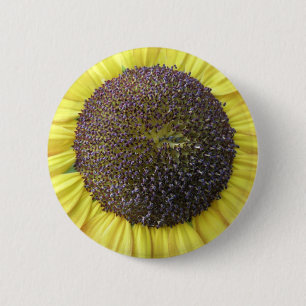 Yellow Sunflower Button