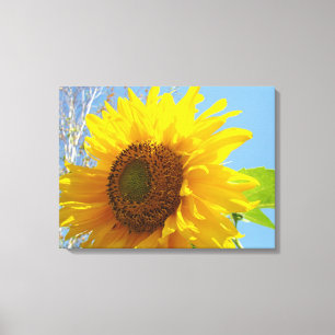 Yellow Sunflower Canvas Photography Fine art Print