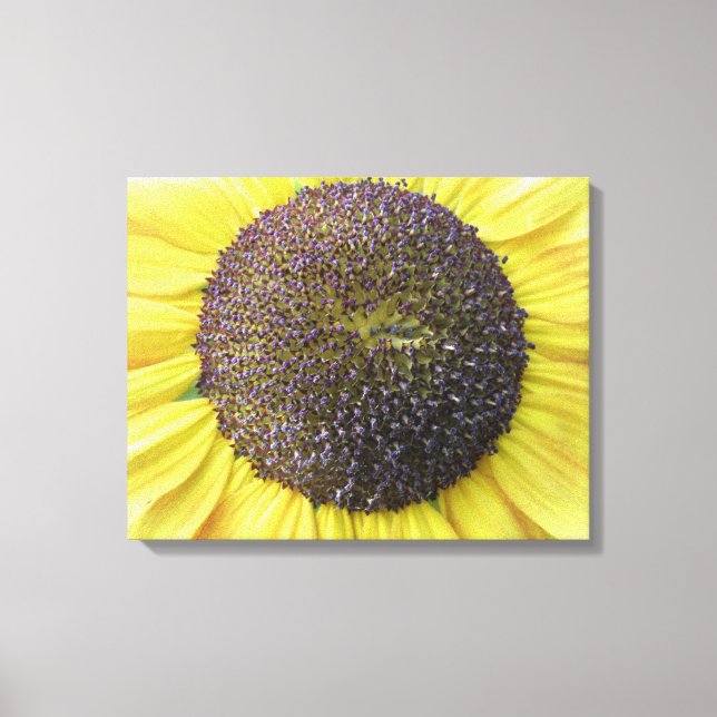 Yellow Sunflower Canvas Print (Front)