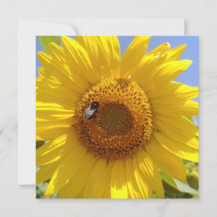 Yellow Sunflower Card
