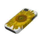 Yellow Sunflower
