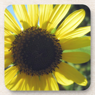 Yellow Sunflower Coaster