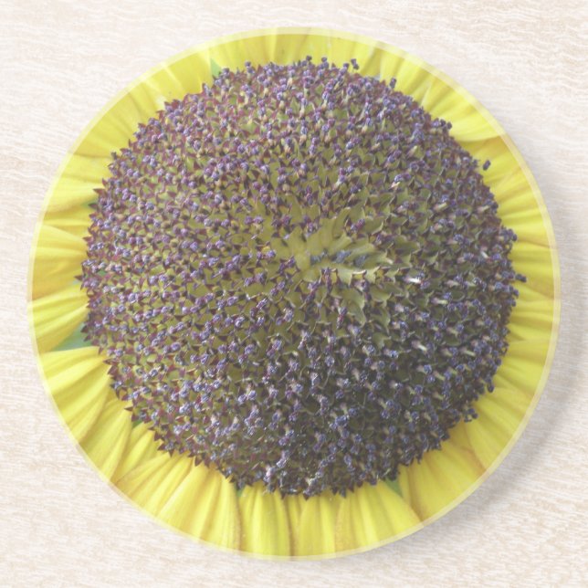 Yellow Sunflower Coasters (Front)