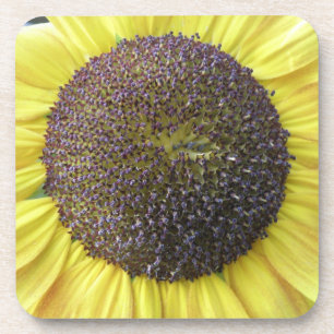 Yellow Sunflower Cork Coaster