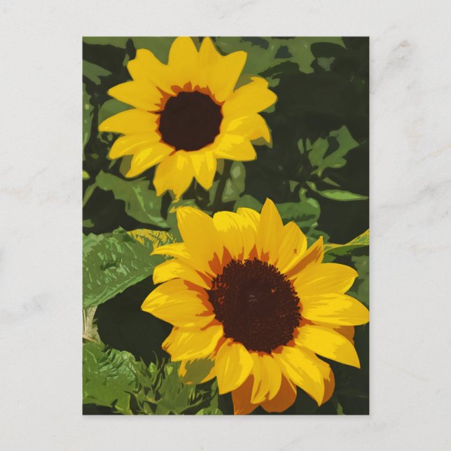 Yellow sunflower design postcard (Front)